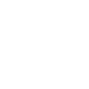 telephone call